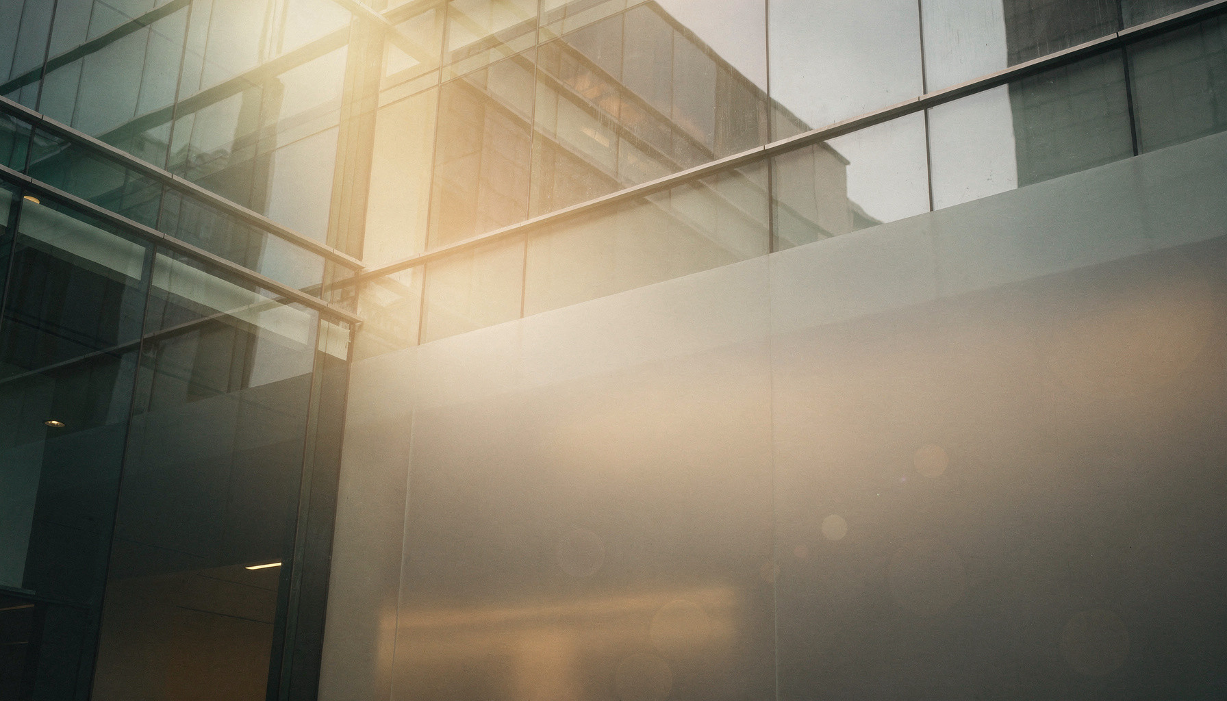 Murfey Insurance website preview